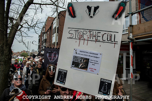 Exeter_march_ against_the_badger_cull 047