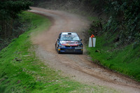 Somerset Stages Rally Chargot Woods_3304