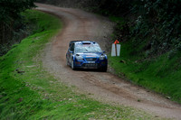 Somerset Stages Rally Chargot Woods_3224