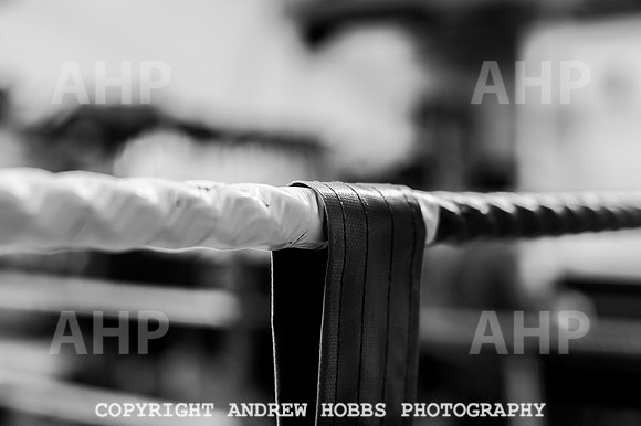 Watchet Boxing Club May 2014 61