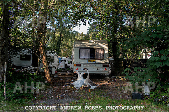 Travellers Camp Haldon Hill Exeter 2014 012