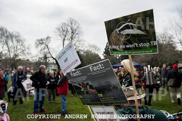Exeter_march_ against_the_badger_cull 061