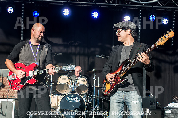 Watchet Festival 2016-1773