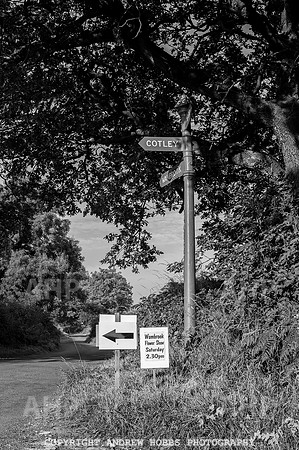 Wambrook Flower Show Centenary 092