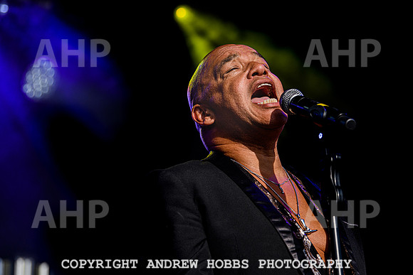 Odyssey - Watchet Music Festival 2022-8417