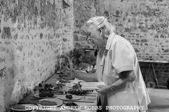 Wambrook Flower Show Centenary 177