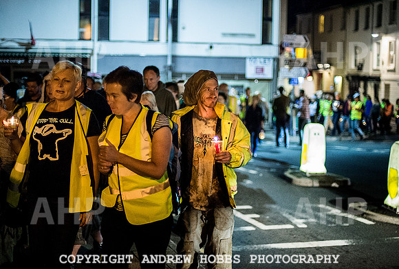 Minehead Badger Cull Protest_8839