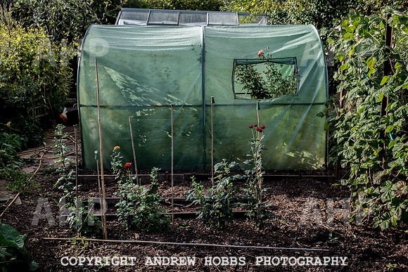 Vellacott Garden 2016-3589