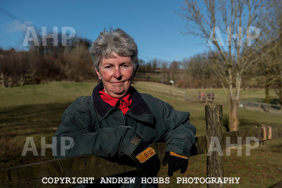 Golden Horseshoe interview 002