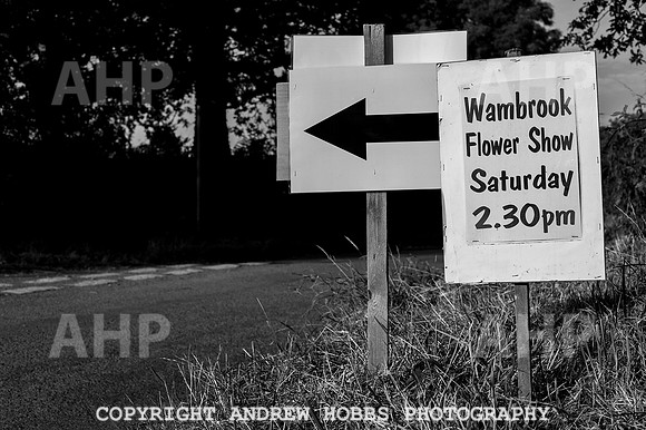 Wambrook Flower Show Centenary 093