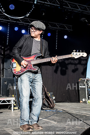 Watchet Festival 2016-1780