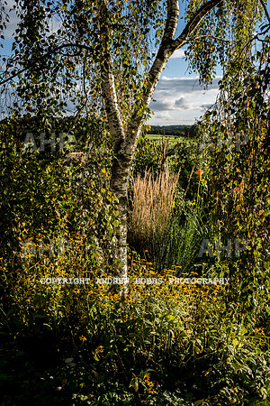 Vellacott Garden 2016-3699