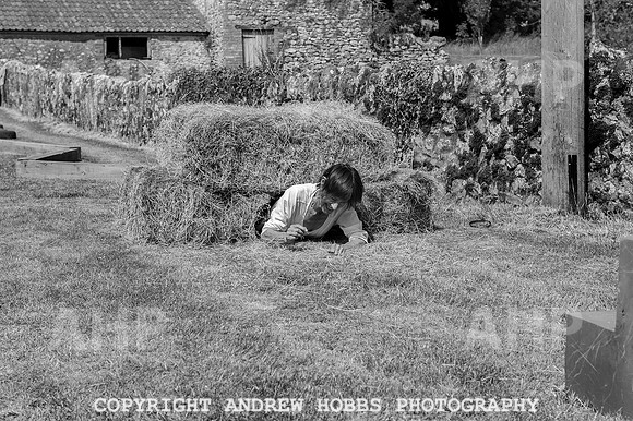 Wambrook Flower Show Centenary 225
