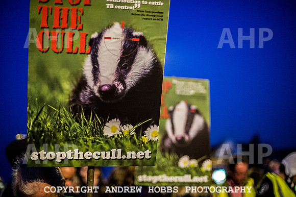 Minehead Badger Cull Protest_8801