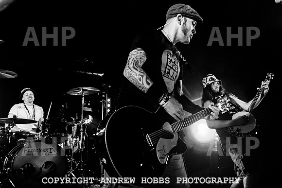 Ferocious Dog - Chagstock Music Festival 2022-4783