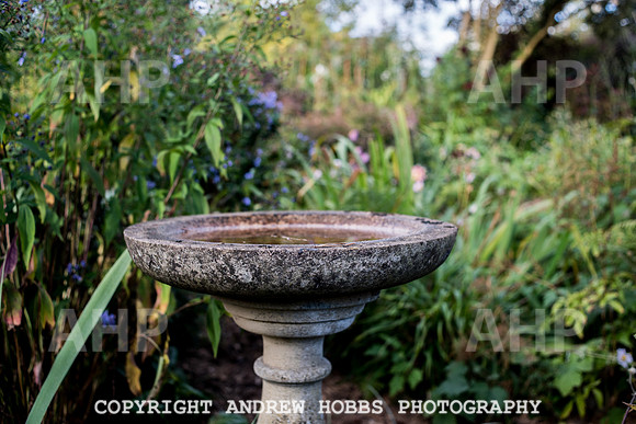 Vellacott Garden 2016-3652