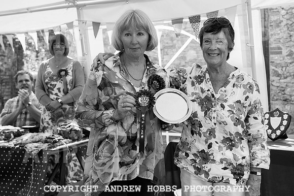 Wambrook Flower Show Centenary 268