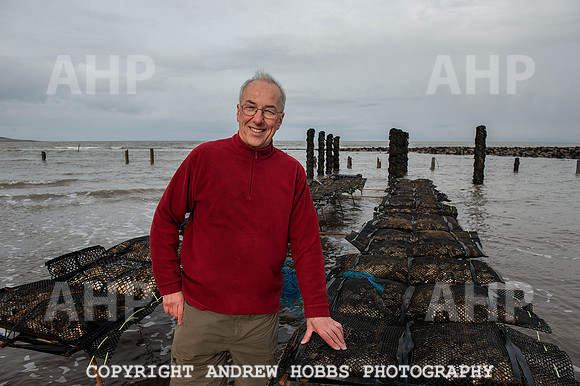 AHP_5572 copy