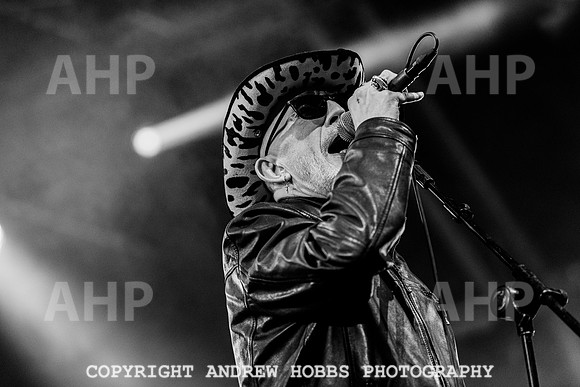 Alabama 3 - Watchet Music Festival 2022-8909