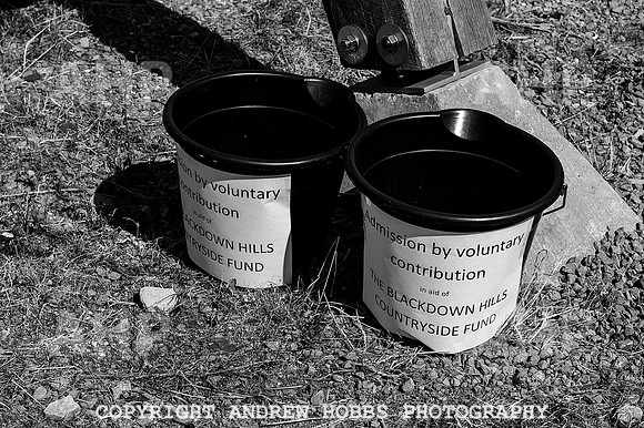 Wambrook Flower Show Centenary 007