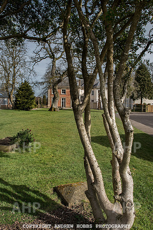 Newbury Manor School 022