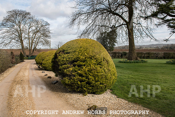 Newbury Manor School 026