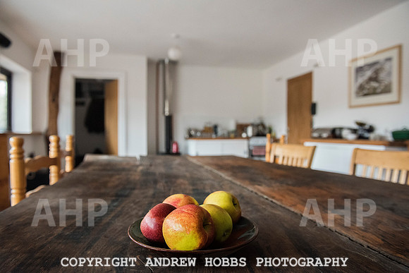 Bulworthy Project 017