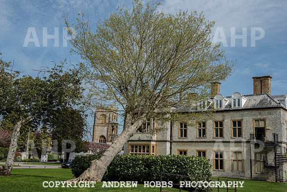 Chilton Cantelo School 080