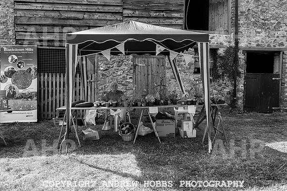 Wambrook Flower Show Centenary 245