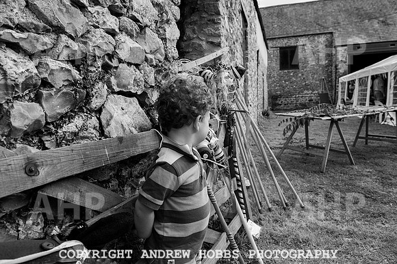 Wambrook Flower Show Centenary 250