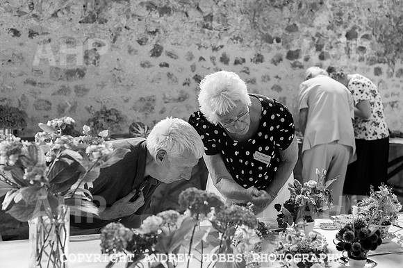 Wambrook Flower Show Centenary 167