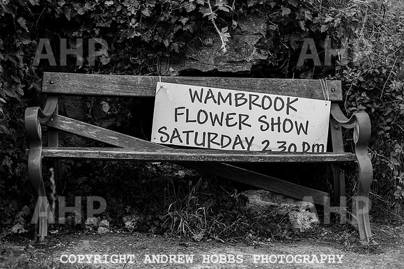 Wambrook Flower Show Centenary 091