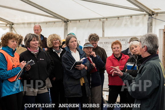 HOB_4395 copy