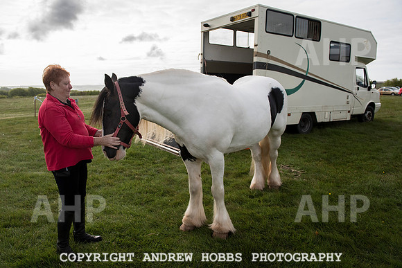 HOB_4423 copy