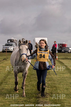 HOB_4439 copy