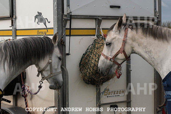 HOB_4452 copy