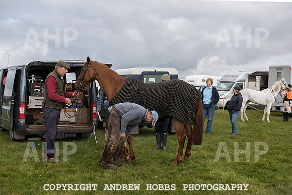 HOB_4473 copy
