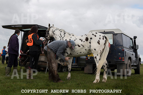 HOB_4486 copy