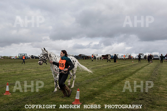HOB_4489 copy