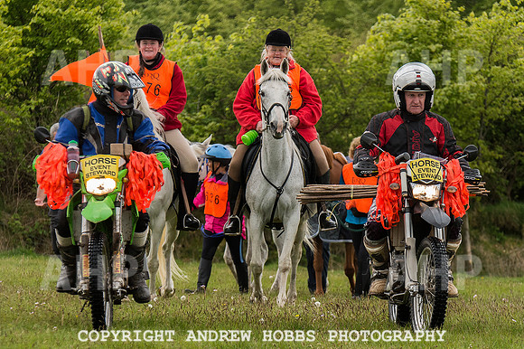 AHP_3834 copy