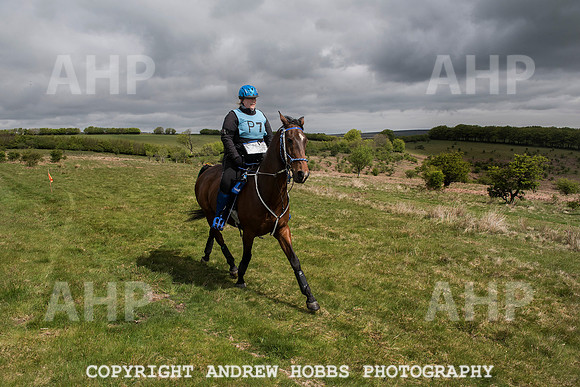 HOB_4532 copy