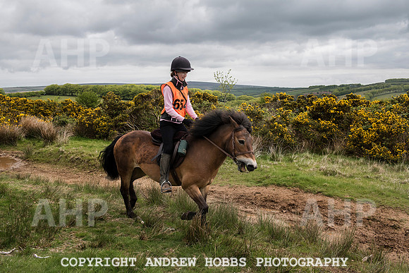 HOB_4538 copy