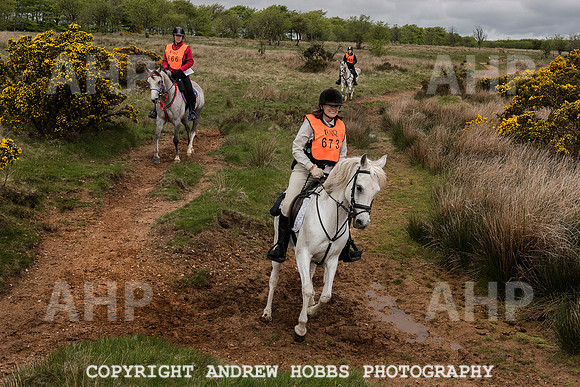 HOB_4549 copy