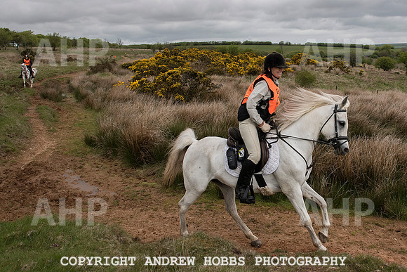 HOB_4552 copy