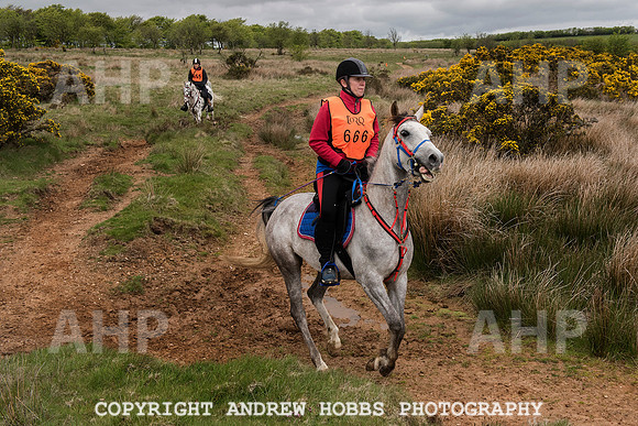 HOB_4554 copy