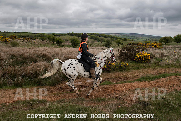 HOB_4562 copy