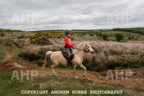 HOB_4573 copy