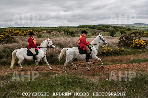HOB_4579 copy
