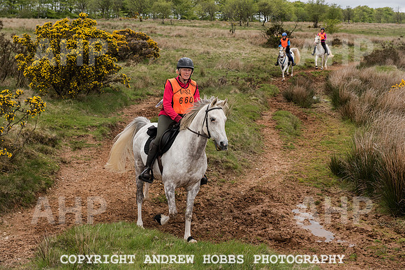 HOB_4588 copy