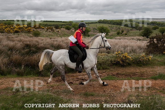 HOB_4590 copy